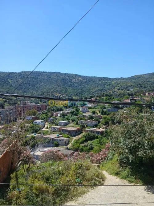 Location Appartement F3 Annaba Annaba
