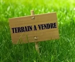 Vente Terrain El Tarf Ben mehdi
