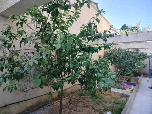 Vente Villa Annaba Annaba
