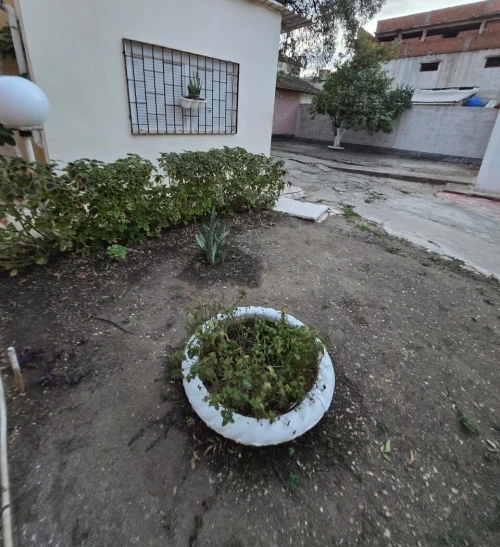 Vente Terrain Annaba El hadjar