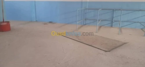 Vente Hangar - Usine Annaba Ain berda