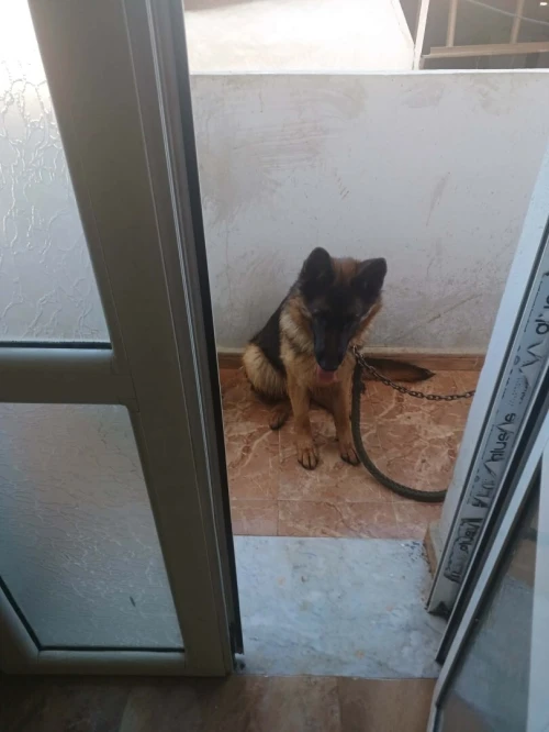 a vendre