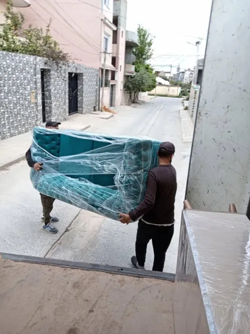 TRANSPORT/LIVRAISON /DEMENAGEMENT
