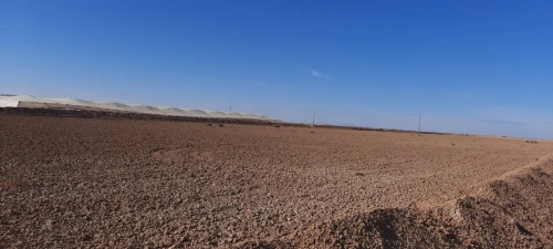 Vente Terrain Biskra Ain naga