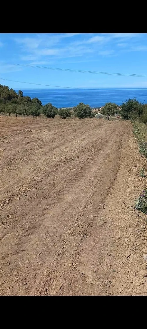 Vente Terrain Tipaza Sidi ghiles