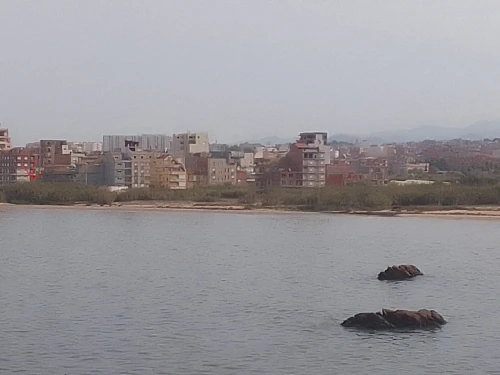 Vente Terrain Jijel Jijel