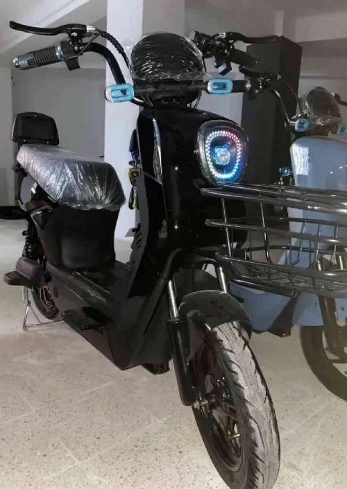 Dora Dora pro max 2025