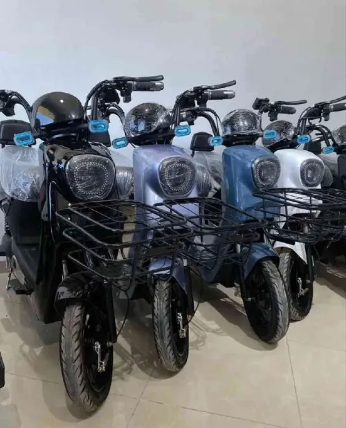 Dora Dora pro max 2025