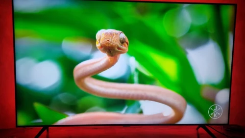 TV Samsung 58 pouces 