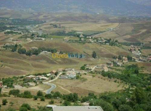 Vente Terrain Tizi Ouzou Tizi ouzou