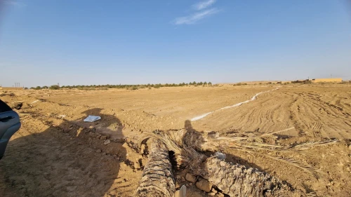 Vente Terrain Agricole Ouled Djellal Ouled Djellal