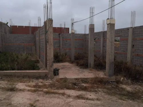 Vente Terrain Tlemcen Nedroma