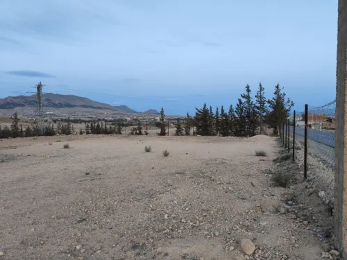Vente Terrain Batna Ras el aioun