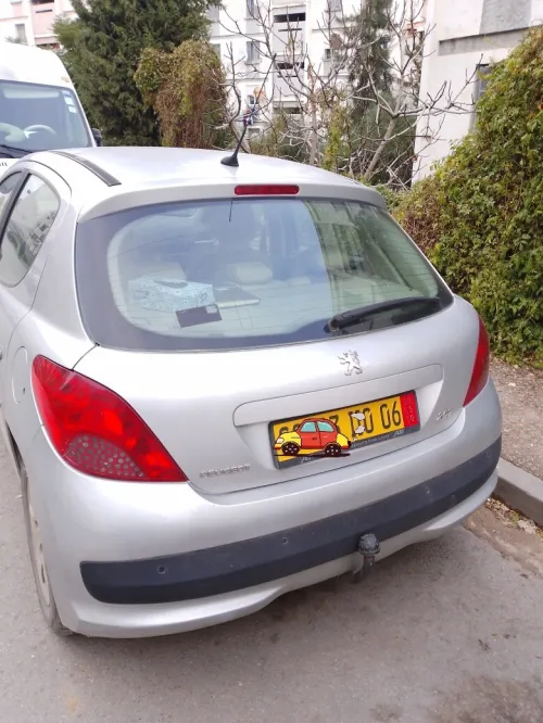 Peugeot 207 2010 207