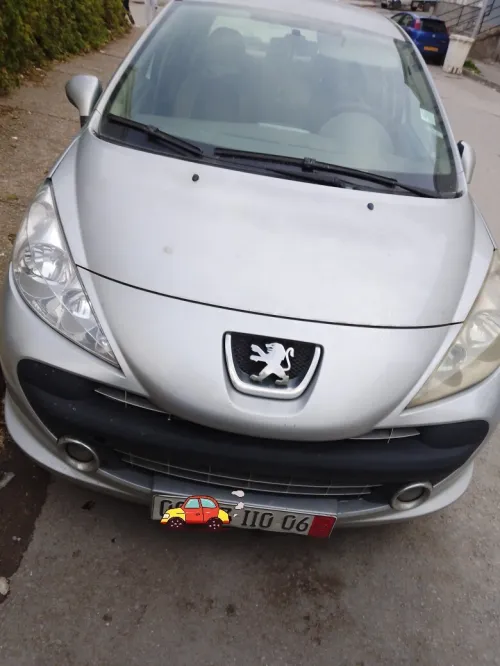 Peugeot 207 2010 207