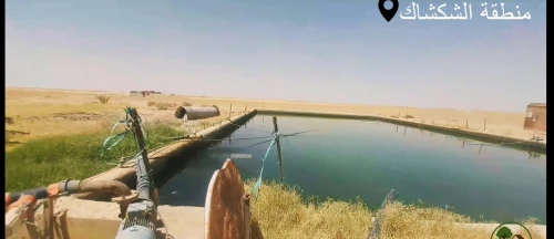 Vente Terrain Agricole El Oued Tayeb larbi