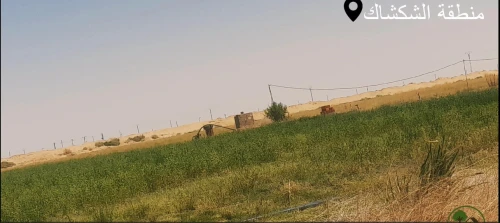 Vente Terrain Agricole El Oued Tayeb larbi