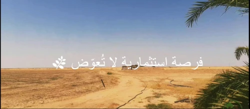 Vente Terrain Agricole El Oued Tayeb larbi