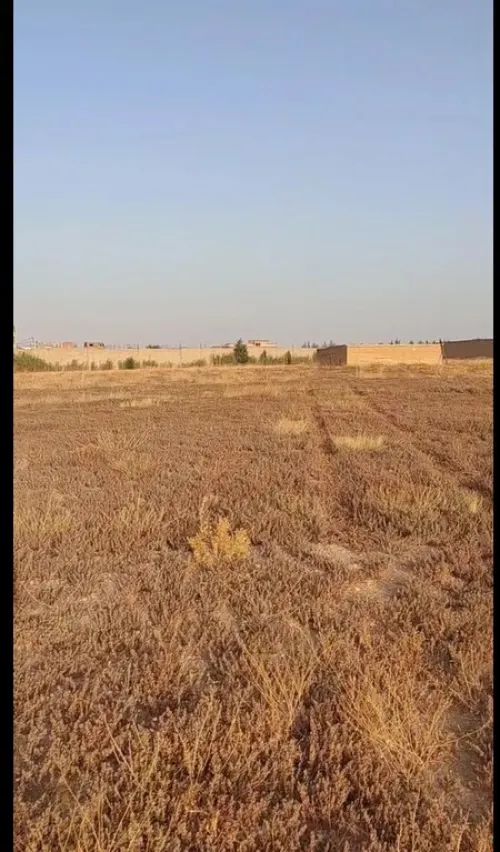 Vente Terrain Agricole Tébessa Cheria