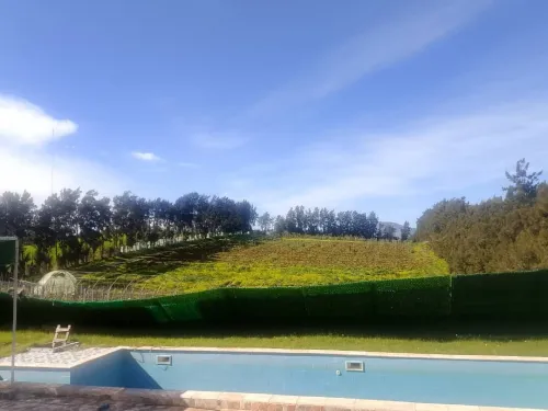 Vente Terrain Agricole Tipaza Tipaza