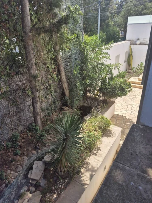 Location Villa Alger El mouradia