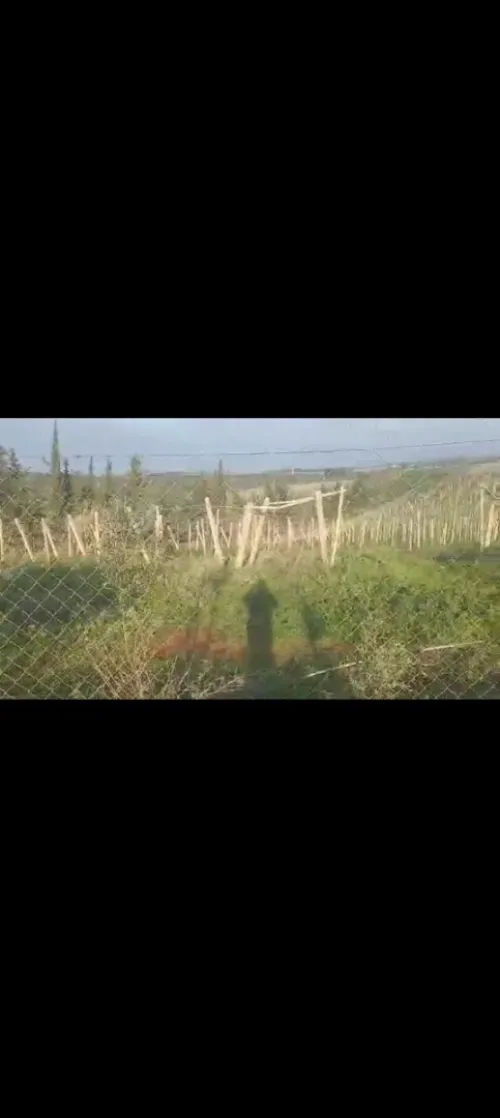 Vente Terrain Agricole Tipaza Tipaza