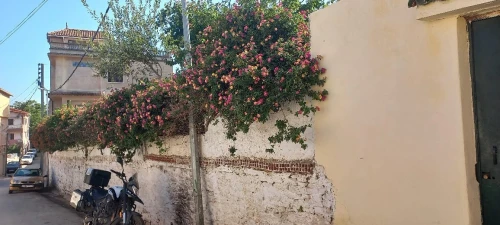 Vente Terrain Alger Chevalley