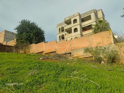 Vente Terrain Alger Saoula