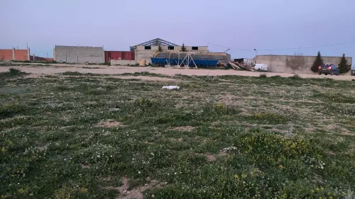 Vente Terrain Sétif Ain arnat