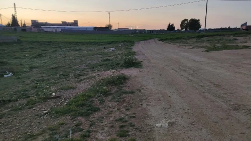 Vente Terrain Sétif Ain arnat