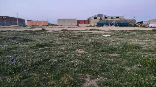 Vente Terrain Sétif Ain arnat