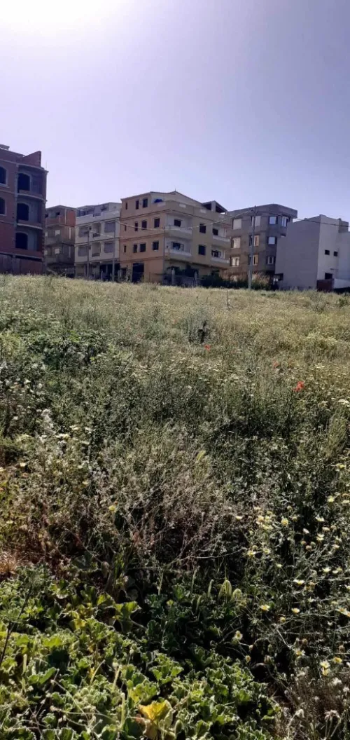 Vente Terrain Tipaza Cherchell