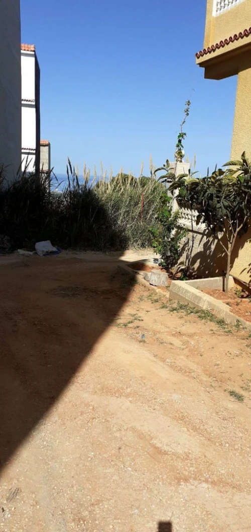 Vente Terrain Tipaza Cherchell