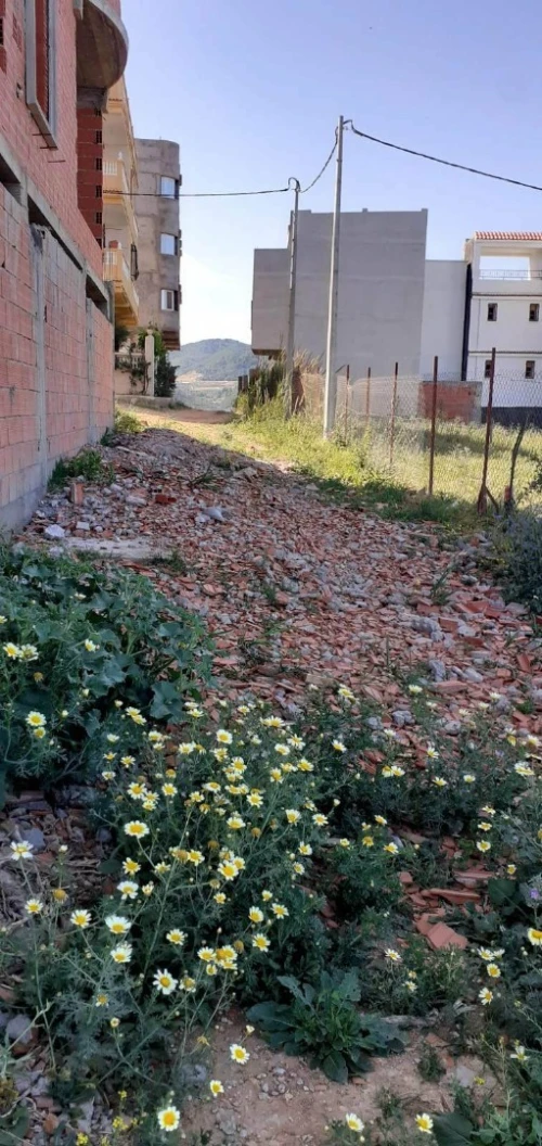 Vente Terrain Tipaza Cherchell