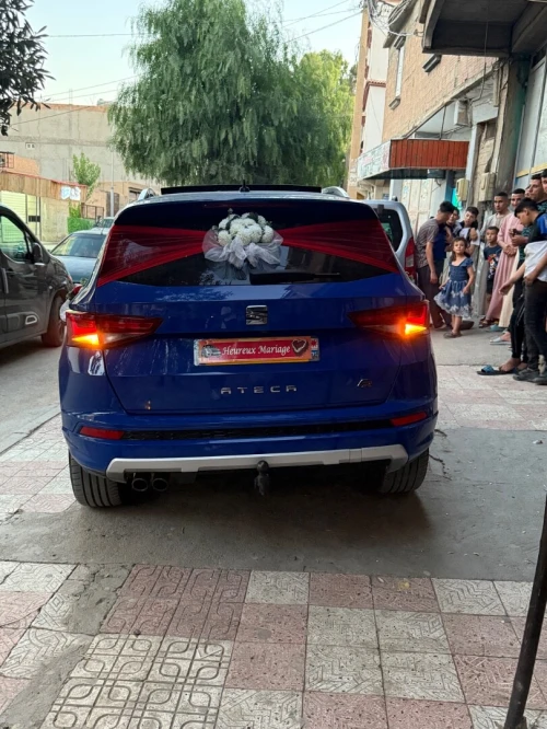 Seat ATECA 2019 Fr+ beats