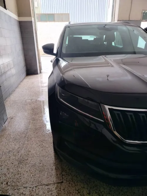 Skoda KodiaQ 2020 2020
