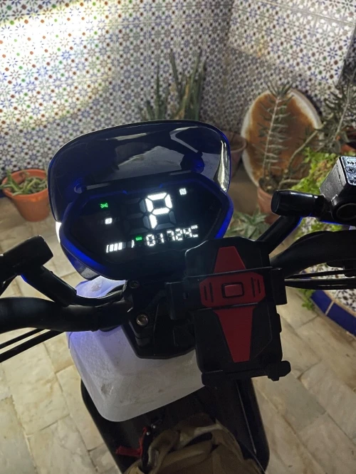 Niu mimo sport 2024