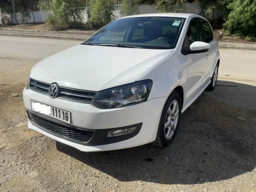 Volkswagen Polo 2011 Team
