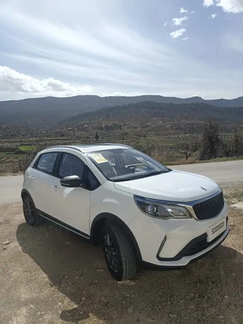 Geely tout option 2025 