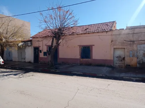 Vente Appartement Tiaret Mahdia