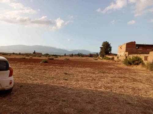 Vente Terrain Aïn Defla Bir ould khelifa