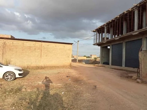 Vente Terrain Aïn Defla Bir ould khelifa