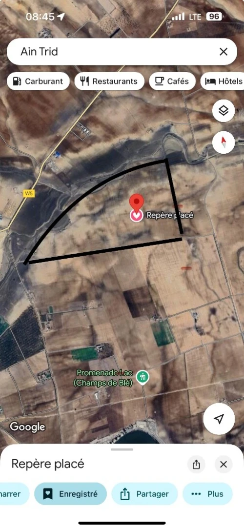 Vente Terrain Sidi Bel Abbès Ain thrid