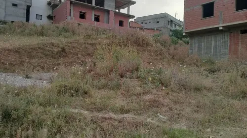 Vente Terrain Jijel Chekfa