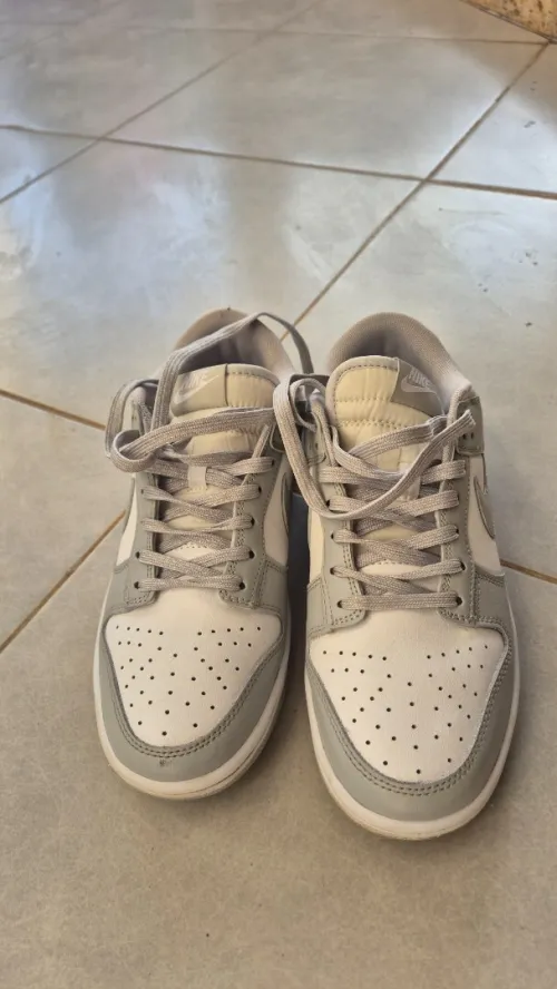 Nike dunk