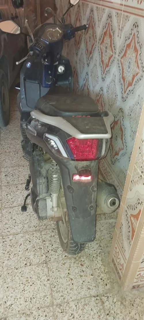 Vms Flach 2021