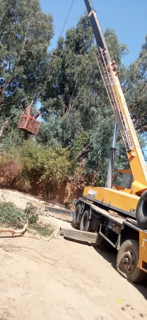 Location grue mobile et Clark télescopiques 