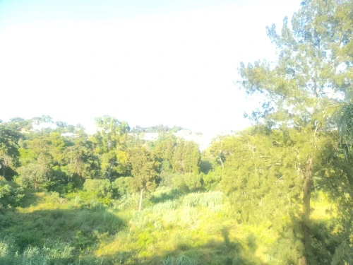 Location Appartement Niveau de villa F3 Alger Hydra