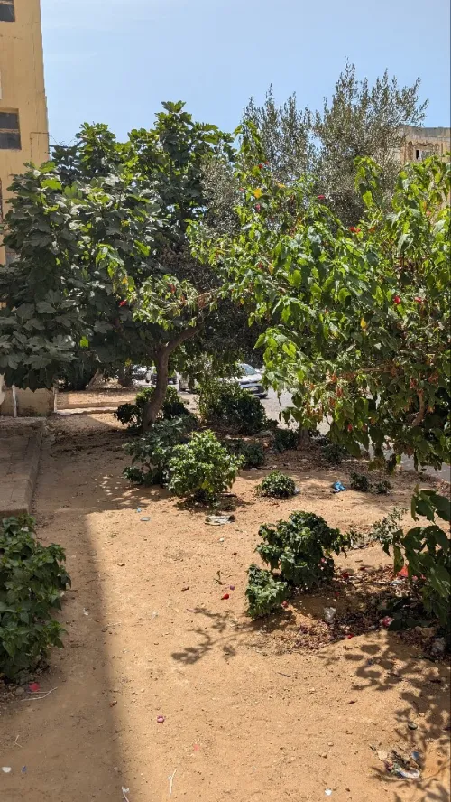Vente Appartement F3 Mostaganem Mostaganem
