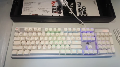 KEYBOARD HAVIT MECANIQUE KB-870L